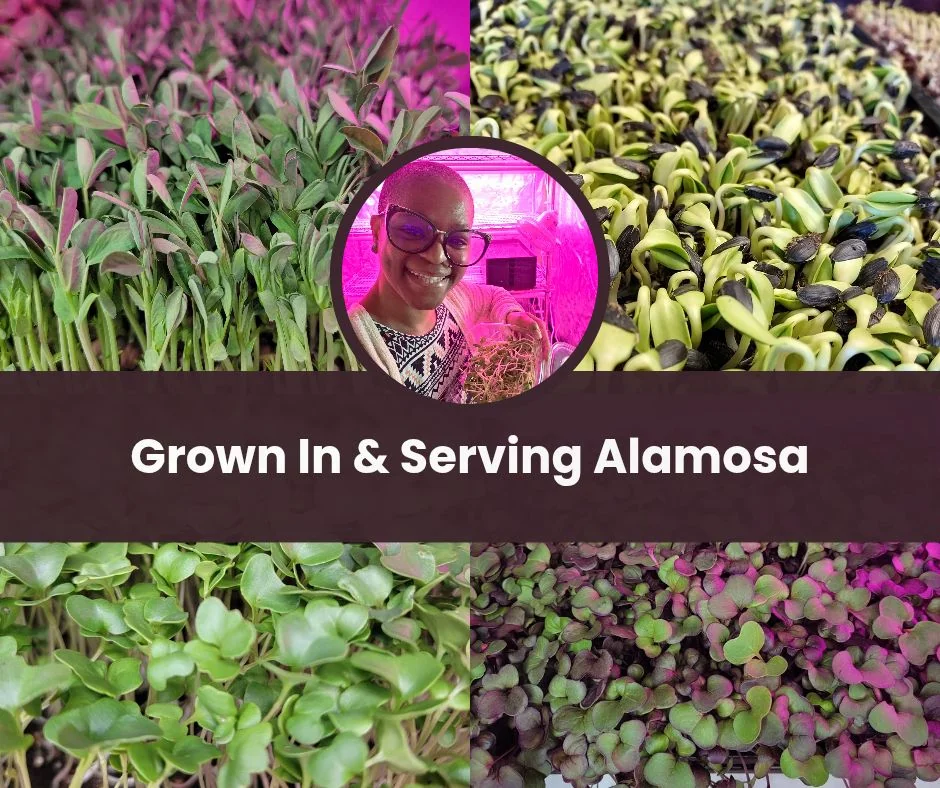 Jasmine Price smiling among her microgreens — a collage captioned Grown In and Serving Alamosa
